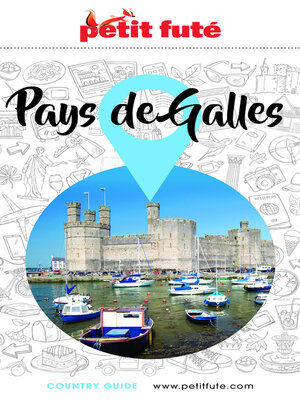 cover image of PAYS DE GALLES 2021/2022 Petit Futé